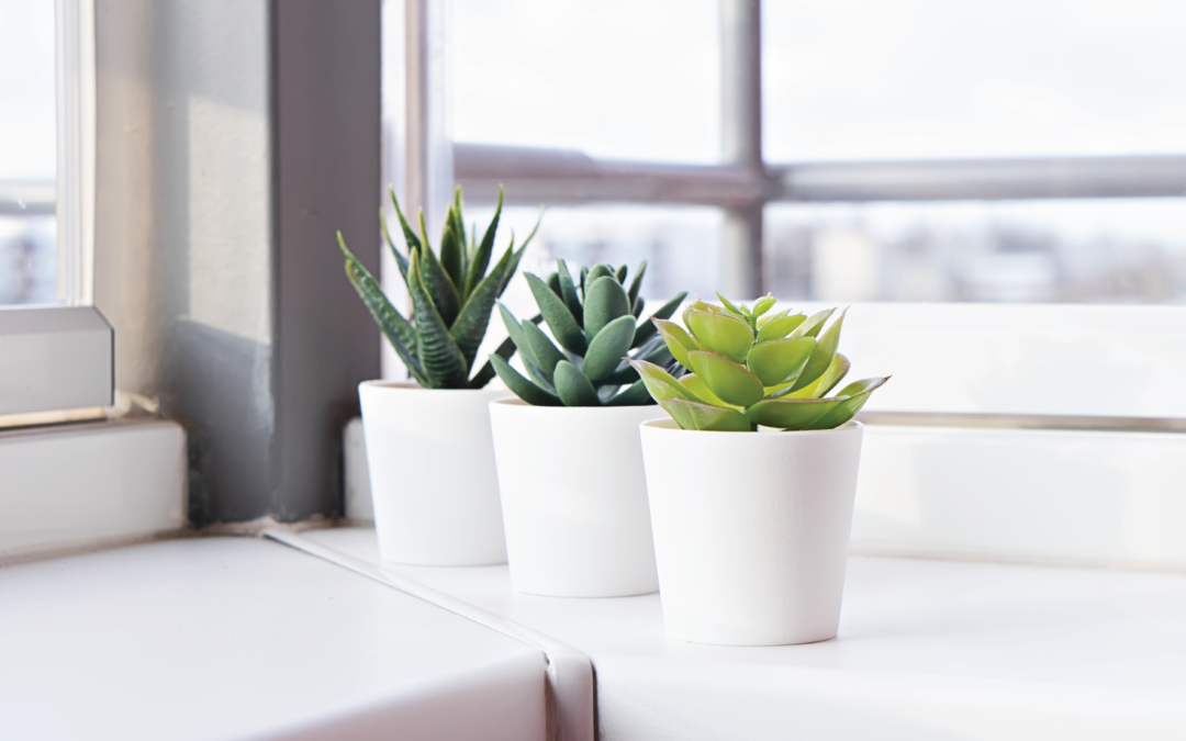 5 Thoughtful Christmas Gifts For Employees In The USA Or European Union