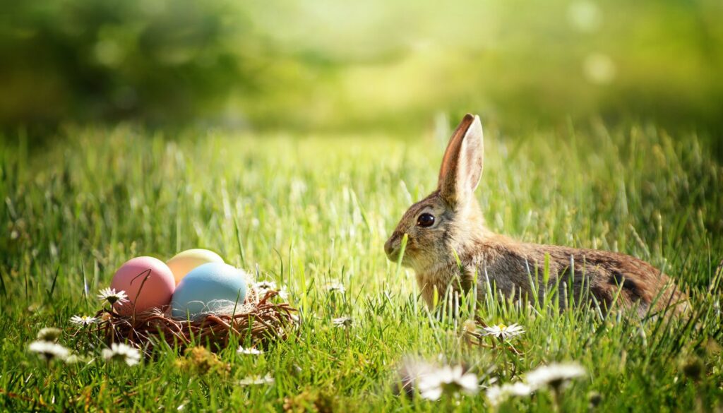 gifts to switzerland